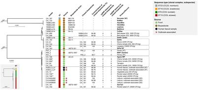 Whole Genome Sequencing Reveals Biopesticidal Origin of Bacillus thuringiensis in Foods